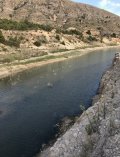 IMG_0604.jpeg