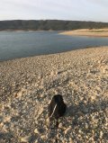 IMG_0606.jpeg