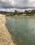 IMG_0611.jpeg