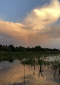 IMG_0660.jpeg