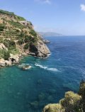 IMG_0663.jpeg