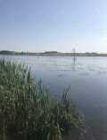 IMG_0657.jpeg