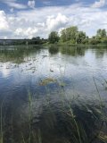 IMG_0655.jpeg