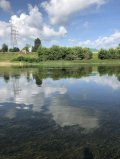 IMG_0653.jpeg