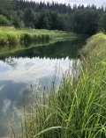 IMG_0650.jpeg