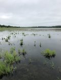 IMG_0647.jpeg