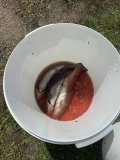 IMG_9472.jpeg