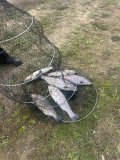 IMG_9467.jpeg