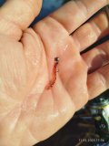 IMG_20250511_170627.jpg