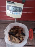 IMG-20250511-WA0062.jpg