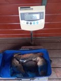 IMG-20250511-WA0058.jpg