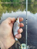 IMG_20250511_213501.jpg