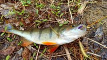 IMG_20250511_203929.jpg