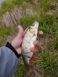 IMG_20250511_133809.jpg