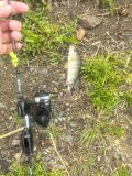 IMG_20250511_144700.jpg