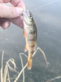 IMG_20250508_203218.jpg