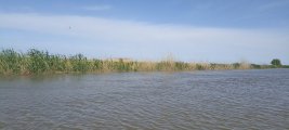 IMG_20250512_093021.jpg