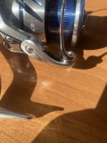 IMG_3257.jpeg