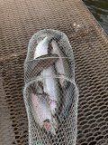 IMG_2800.jpeg