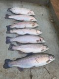 IMG_2249.jpeg