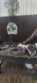 Изображение хрюхрюp 2025-05-12 в 07.48.50_ad709779.jpg