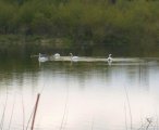 IMG_20250512_194606_571.jpg