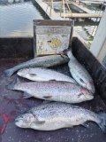 IMG_9936.jpeg