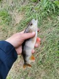 IMG_20250512_190603.jpg