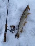 IMG_0753.jpeg