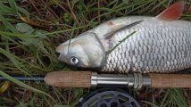 IMG_20250512_200813.jpg