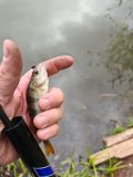 IMG_20250511_145957.jpg