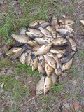 IMG_20250512_145620.jpg