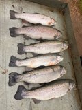 IMG_2297.jpeg