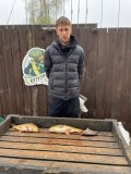 Изображение хрюхрюp 2025-05-13 в 10.04.21_bde1db20.jpg