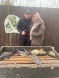Изображение хрюхрюp 2025-05-13 в 13.25.05_2f3f0e68.jpg