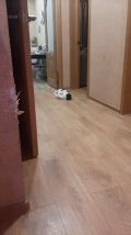 IMG-20250513-WA0041.jpeg