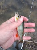 IMG_20250513_180741.jpg
