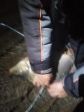 IMG-20250513-WA0371.jpg