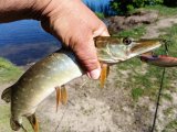 IMG_20250514_094230.jpg