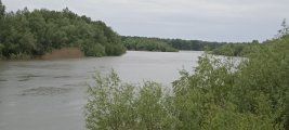 IMG_20250513_134836.jpg