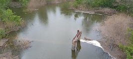 IMG_20250513_140707.jpg