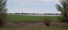 IMG_20250513_133200.jpg