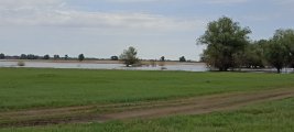 IMG_20250513_132839.jpg