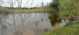 IMG_20250513_132832.jpg