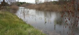 IMG_20250513_132826.jpg