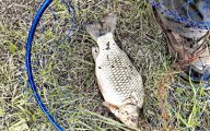 IMG_20250514_165616.jpg