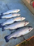 IMG_2357.jpeg