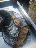 IMG-20250515-WA0074.jpg