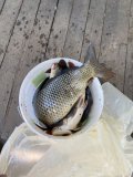 IMG_8078.jpeg