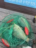IMG_6458.jpeg